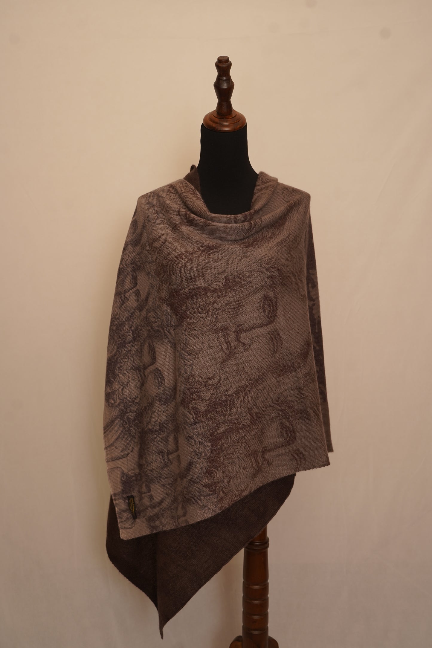 Face print pashmina stole