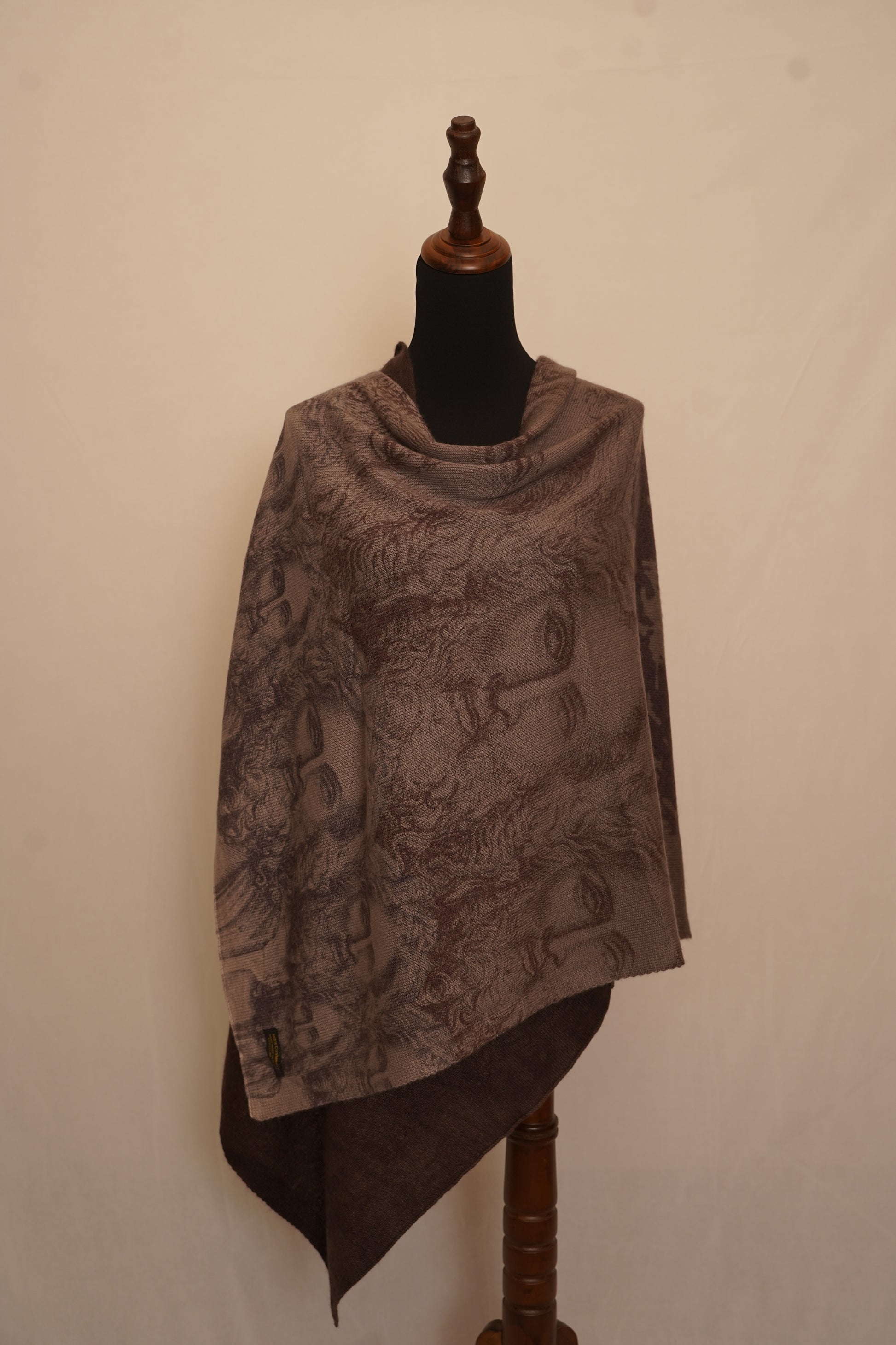 Face print pashmina stole