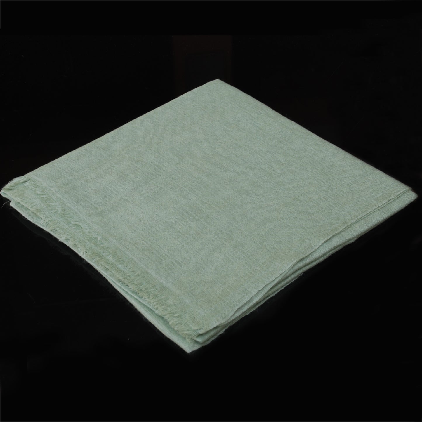 Super Light Green Pashmina cashmere Shawl